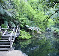 Alfred Nicholas Gardens - C Tourism