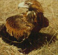 Long Forest Nature Conservation Reserve - C Tourism