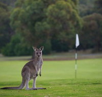 Anglesea Golf Club - C Tourism