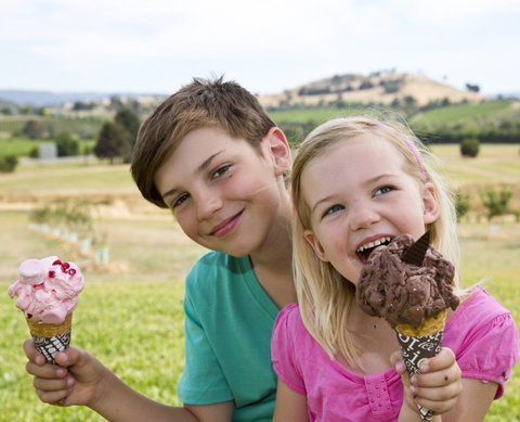 Yarra Valley Chocolaterie & Ice Creamery - C Tourism 6
