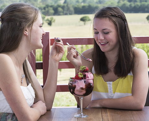 Yarra Valley Chocolaterie & Ice Creamery - C Tourism 8