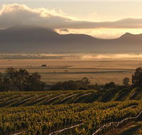 Montara Wines - C Tourism