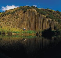 Organ Pipes National Park - C Tourism