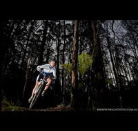 Ride Forrest - C Tourism