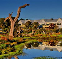 The Minya Vineyard  Winery - C Tourism