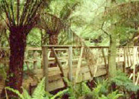 Mount Worth State Park - C Tourism 0
