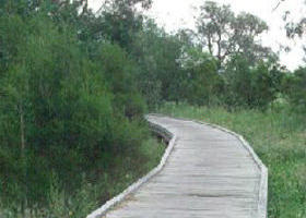 Shepherds Bush - C Tourism 0