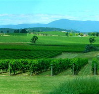 Acacia Ridge Vineyard - C Tourism