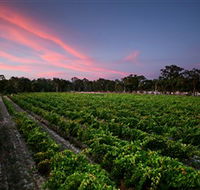 Amherst Winery - C Tourism
