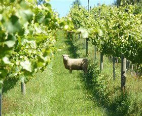 Passing Clouds - C Tourism 0