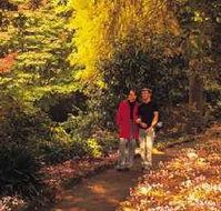 George Tindale Memorial Gardens - C Tourism