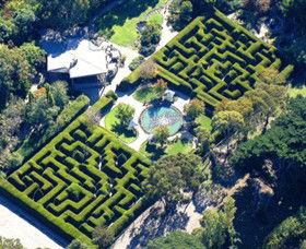 Ashcombe Maze & Lavender Gardens - C Tourism 0