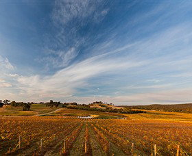 Sanguine Estate - C Tourism 0