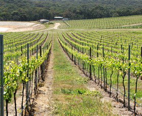 M Chapoutier Australia - C Tourism 0