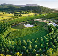TarraWarra Estate - C Tourism