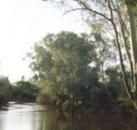 Banksia Park - C Tourism