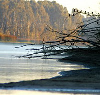 Barmah National Park - C Tourism