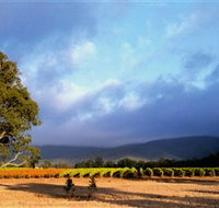 Mount Avoca - C Tourism