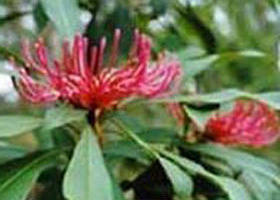 Alfred National Park - C Tourism 0