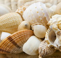 Anglesea Beach Club - C Tourism
