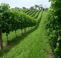 The Cups Estate - C Tourism