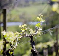 Kyneton Ridge Estate - C Tourism