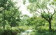 Holey Plains State Park - thumb 0