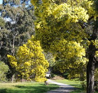 Wattle Park - C Tourism