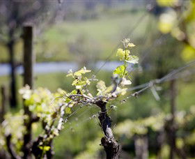 Eldridge Estate Of Red Hill - C Tourism 0