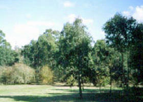 Sweeneys Flat - C Tourism 0