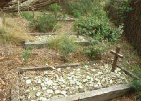 Collins Settlement Historic Site - C Tourism 0