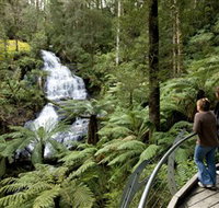 Great Otway National Park - C Tourism