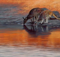 Steve Morvell Wildlife Art - C Tourism