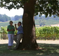 Five Oaks Vineyard - C Tourism