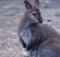 Churchill National Park - C Tourism