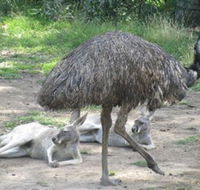 Bundoora Park - C Tourism