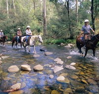Howqua Hills Historic Area - C Tourism