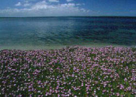 Airly VIC C Tourism