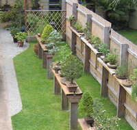 Bonsai Island - C Tourism