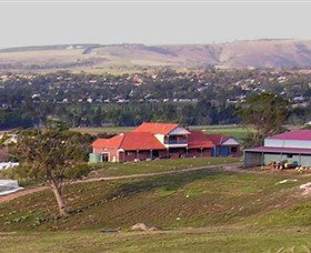 Bacchus Hill Winery - C Tourism 0