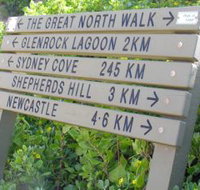 Great North Walk - C Tourism