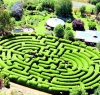 Wandiligong Maze - C Tourism