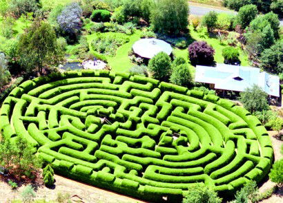 Wandiligong Maze - C Tourism 0