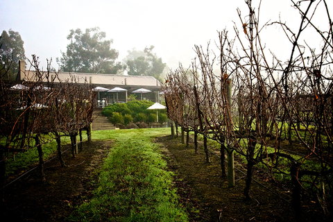 GREENSTONE VINEYARDS - C Tourism 4
