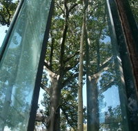 Sydney Sculpture Walk - C Tourism