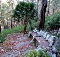 Wodi Wodi Walking Track - C Tourism