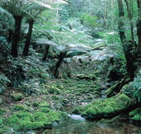 Deua National Park - C Tourism