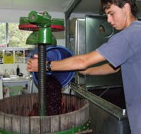 Fern Gully Winery - C Tourism