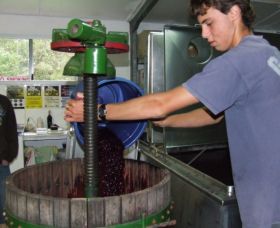 Fern Gully Winery - C Tourism 0