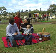 Blackbutt Forest Reserve - C Tourism